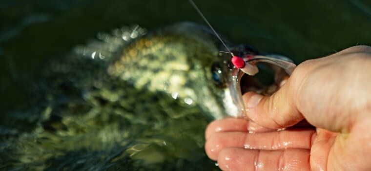 Stopper Lures Fishing Gear